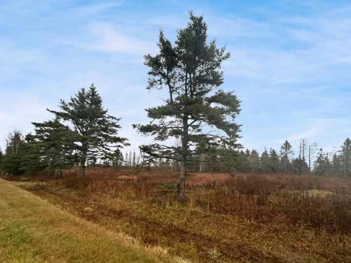 Lot Route 336 — photo 1