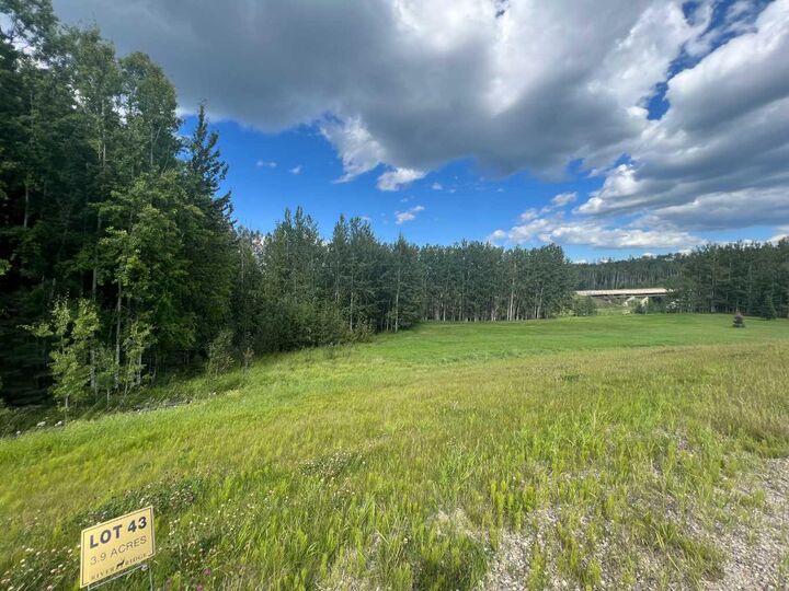 #43 River Ridge Estates — photo 1