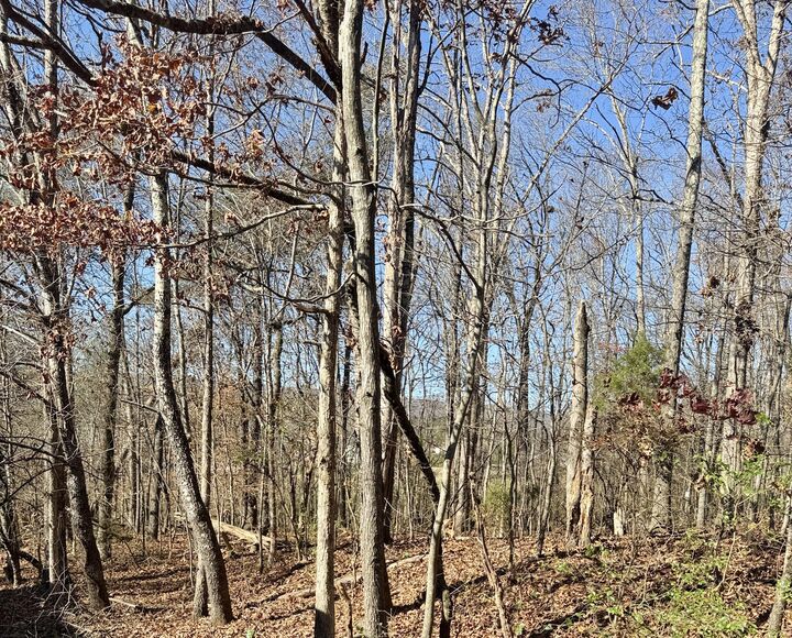 Property Photo:  3990 Oak Hill Road  TN 37321 