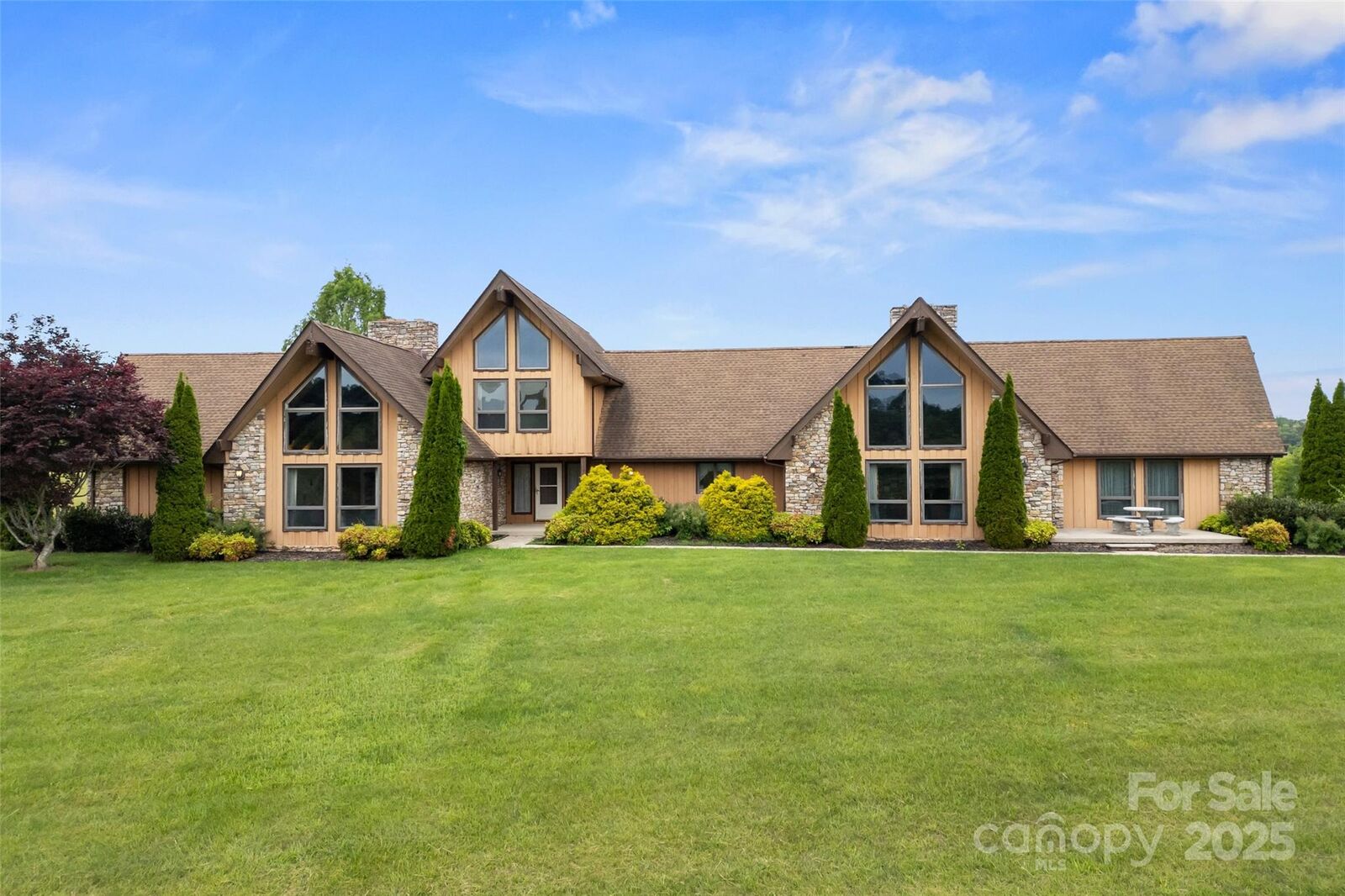 Property Photo: 99 Odonald Road NC 28806