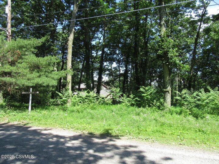 Property Photo: 171 Evergreen Lane PA 17820