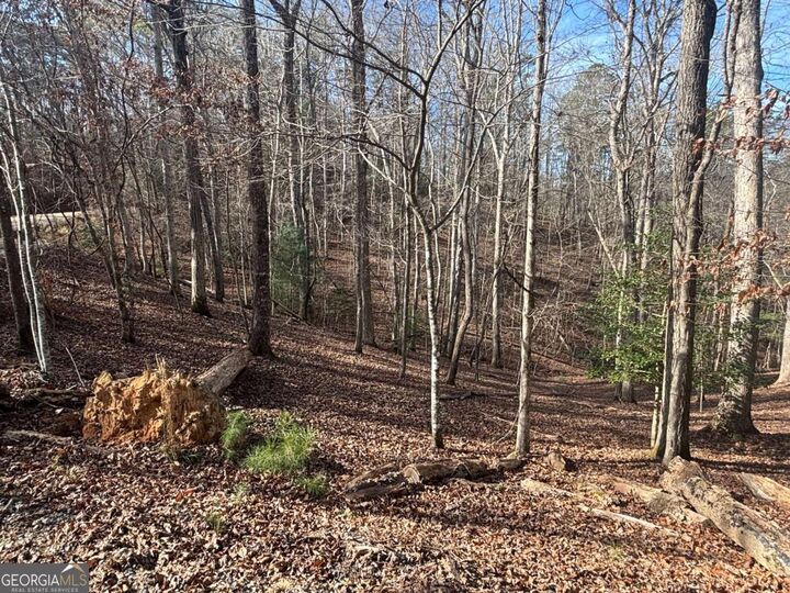 Property Photo:  Lt 727 Armor Court  GA 30540 