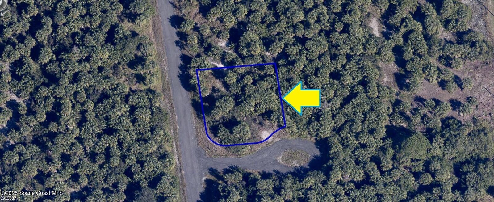 Property Photo:  2377 Andros Avenue SW  FL 32908 