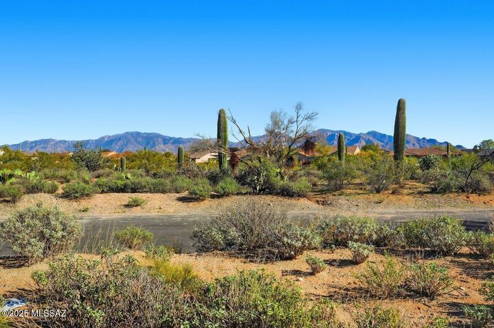 Property Photo:  11994 N Renoir Way  AZ 85742 