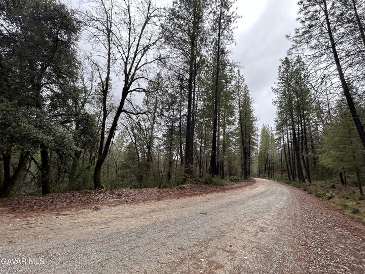 Property Photo: 14550 Grizzly Hill Road CA 95959