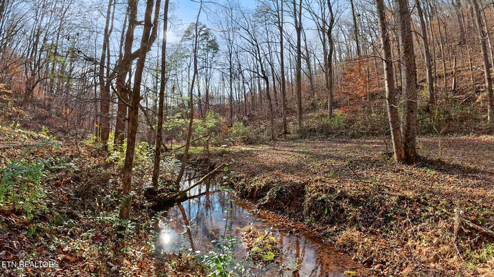 Property Photo:  158 County Road 484  TN 37329 