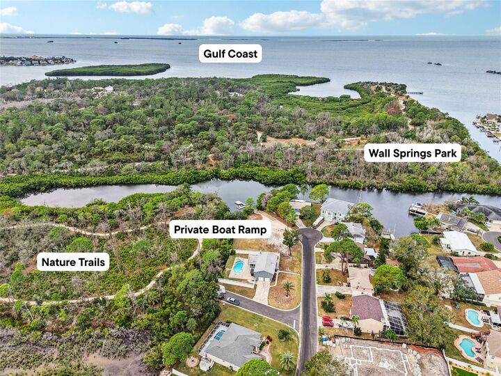 Property Photo:  95 Eastwinds Court  FL 34683 