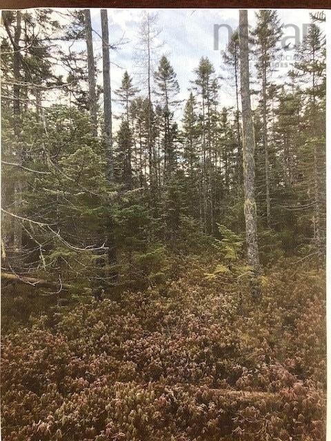 Property Photo: 3 Cloverdale Road NS B0N 2J0