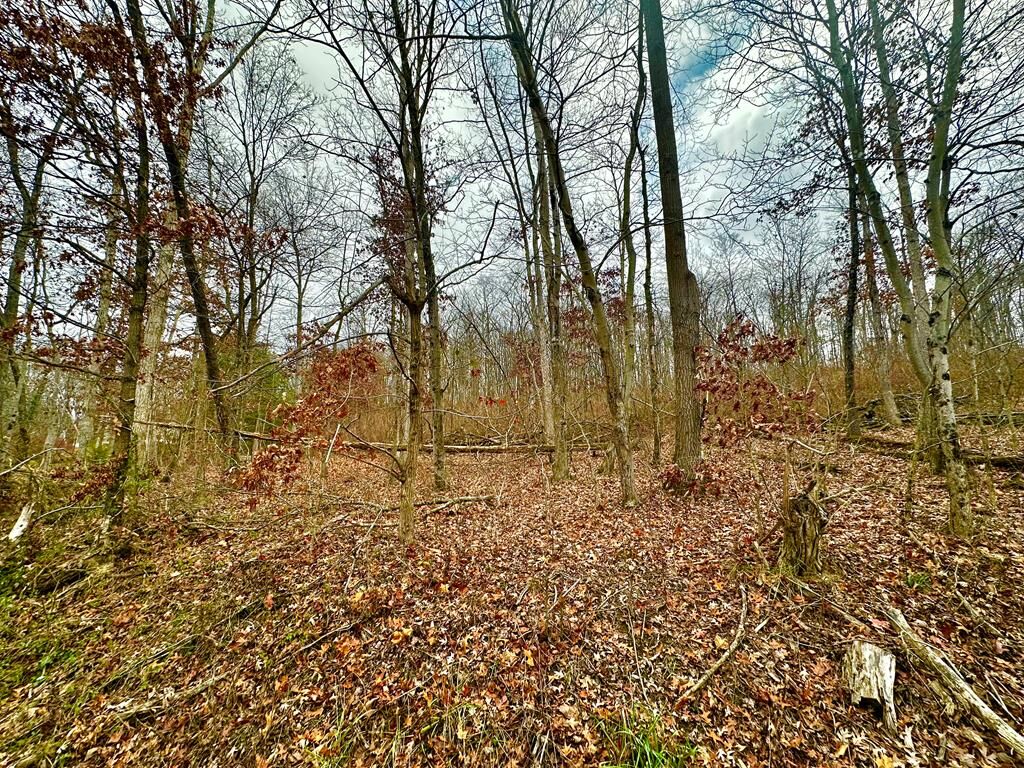 Property Photo: 0 Prussia Road OH 45690