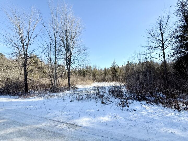 Property Photo:  0 Hank Wilson Road  NY 12918 