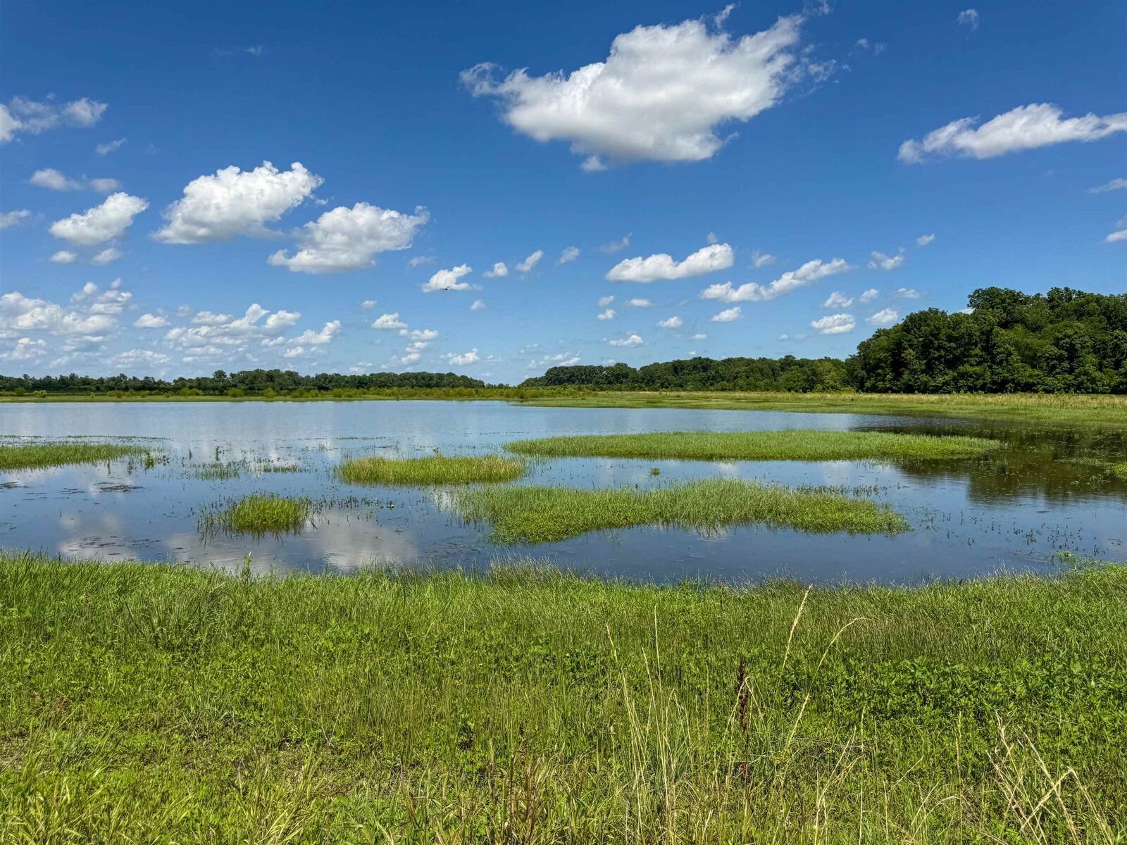 Property Photo: 0 Lawrence Rd 348 AR 72410