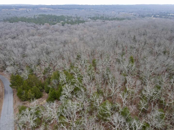000 McNew Cemetery Rd  Greenbrier AR 72058 photo