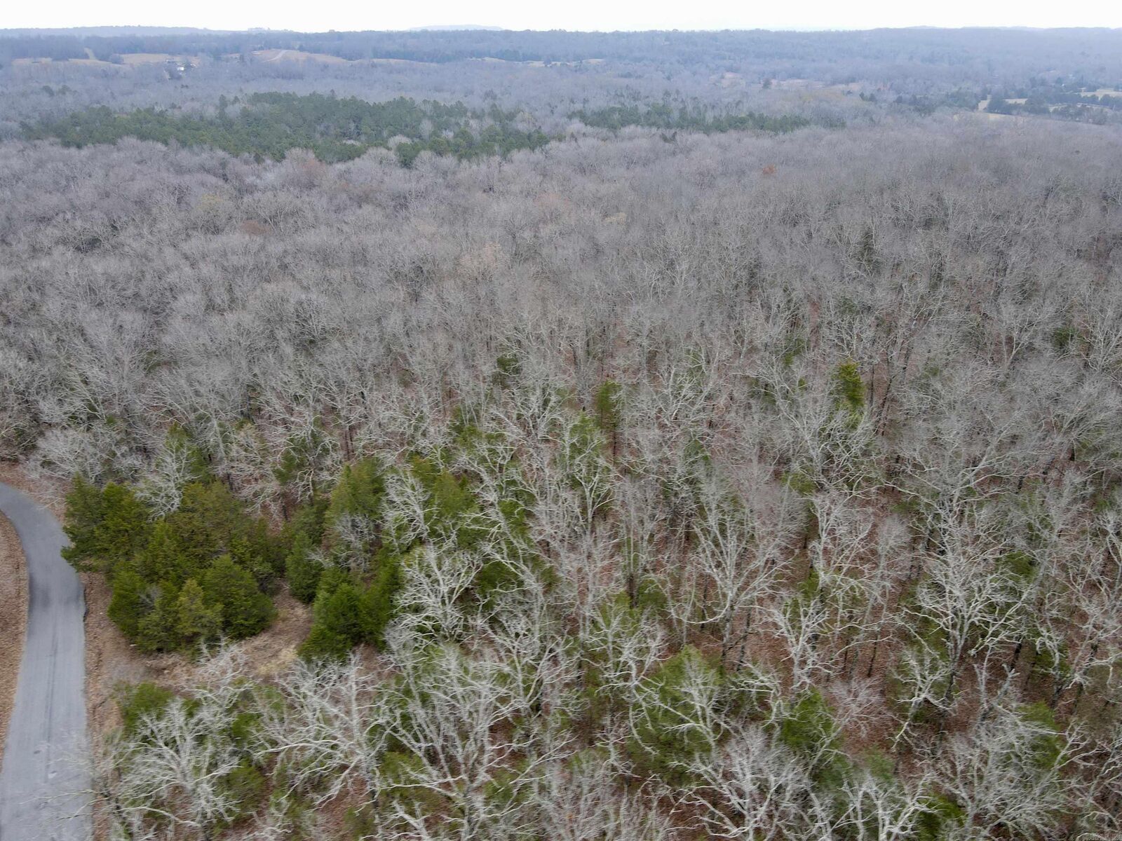 Property Photo:  000 McNew Cemetery Rd  AR 72058 