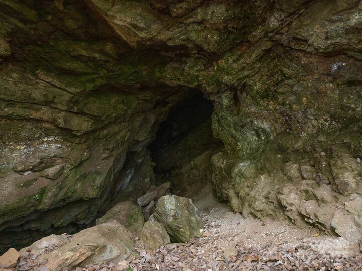 Property Photo: 0 Shoal Ridge 3 NC 28167