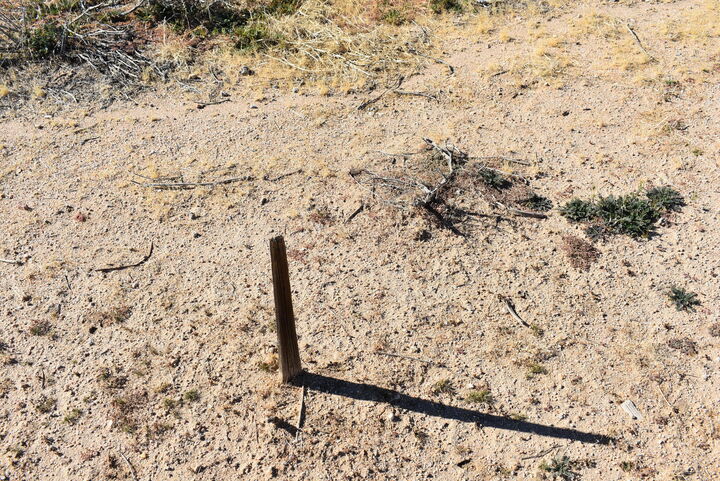 Property Photo: Waterman St &Amp S/O Denise Ave CA 93505