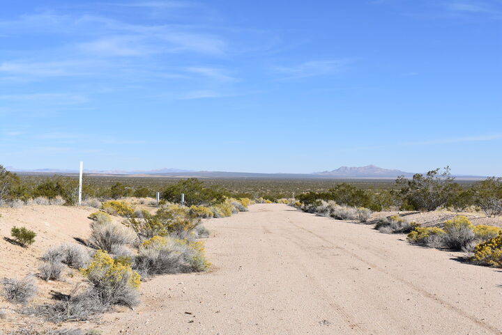 Property Photo:  Hansen St &Amp Munivez St  CA 93505 