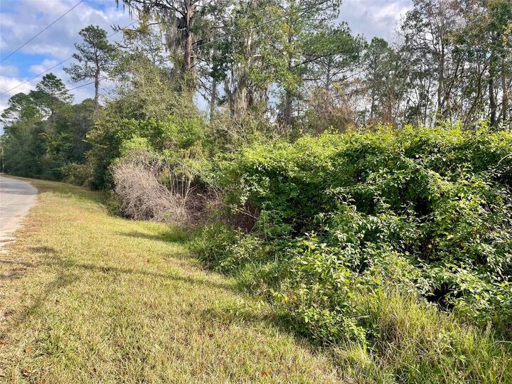 Property Photo: 000 Fisher Run FL 32179