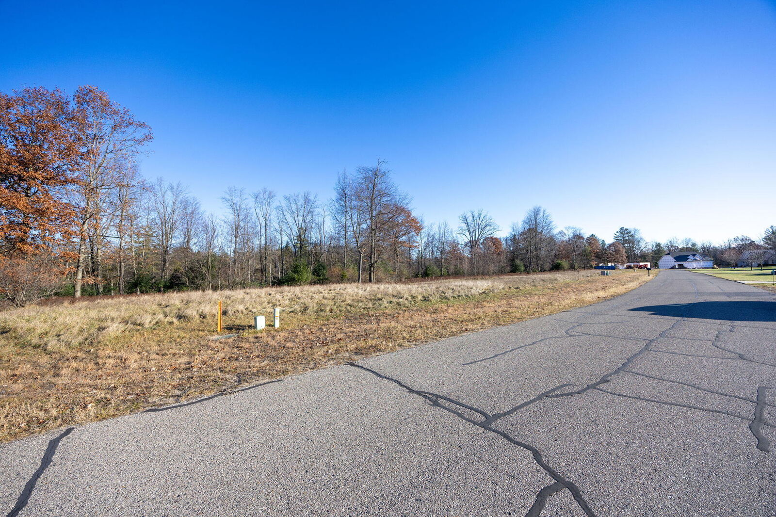 Property Photo:  11482 Killarney Drive  MI 49346 