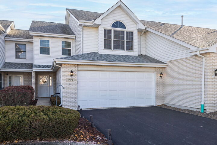 9919 Constitution Drive  Orland Park IL 60462 photo
