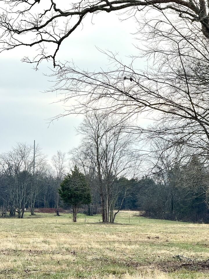 Property Photo: 0 Vesta Road TN 37090