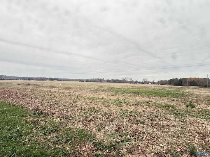 Property Photo: 32 Acres Hogan Road AL 35622