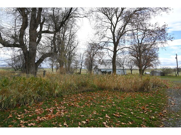 Property Photo:  75938 Spring Hollow Rd  OR 97810 