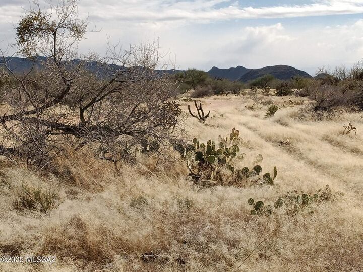 Property Photo:  16040 S Big Run Avenue 316  AZ 85736 