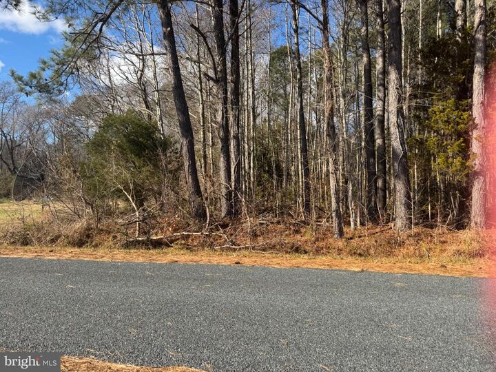 Property Photo: Hickman Lane 338 MD 21840