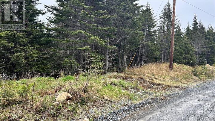 Property Photo:  0 Strayaway Road  NL A0B 1C0 