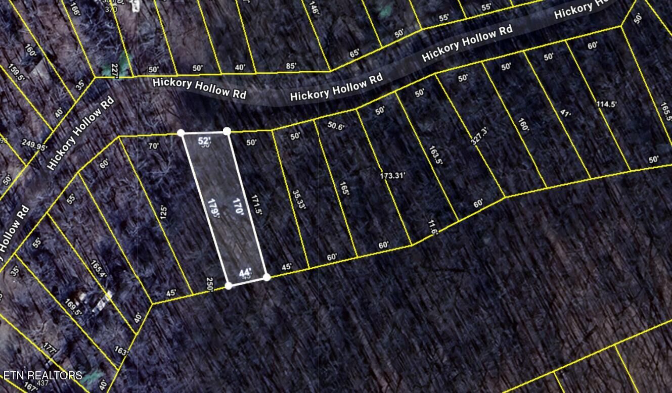 Property Photo:  0.19 Ac Hickory Hollow Rd  TN 38572 