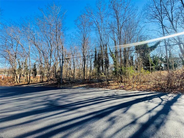 Property Photo:  Vl Meadowmere Avenue  NY 11950 