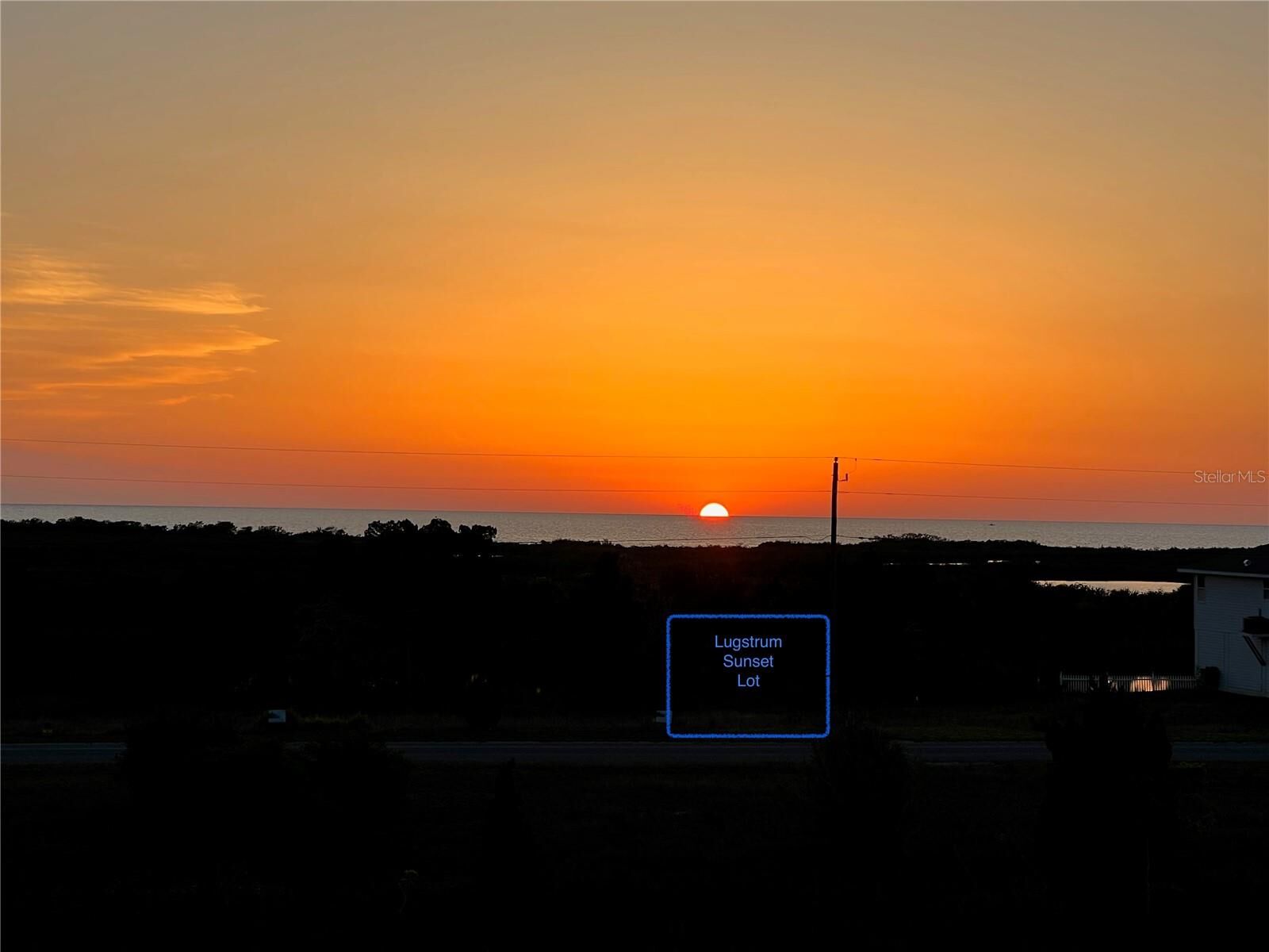 Property Photo: Lugustrum Drive FL 34607