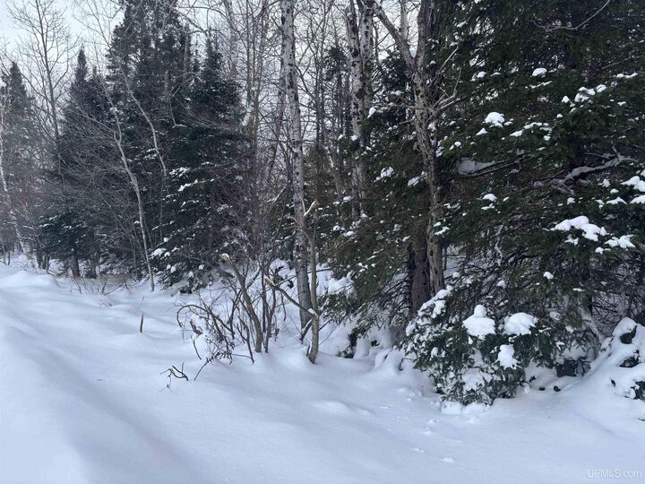 Tbd Al County Road  Champion MI 49814 photo