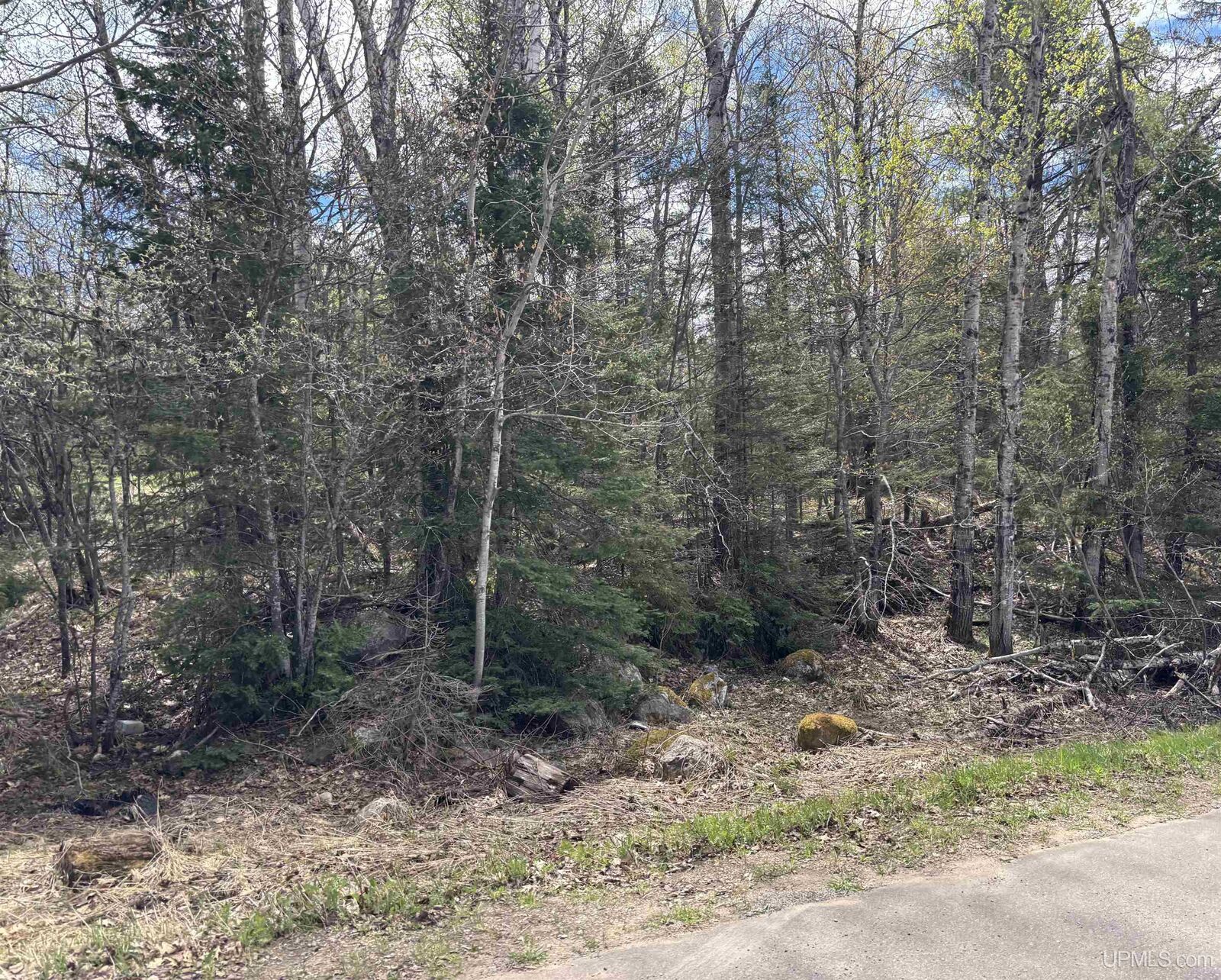 Property Photo: Tbd Al County Road MI 49814
