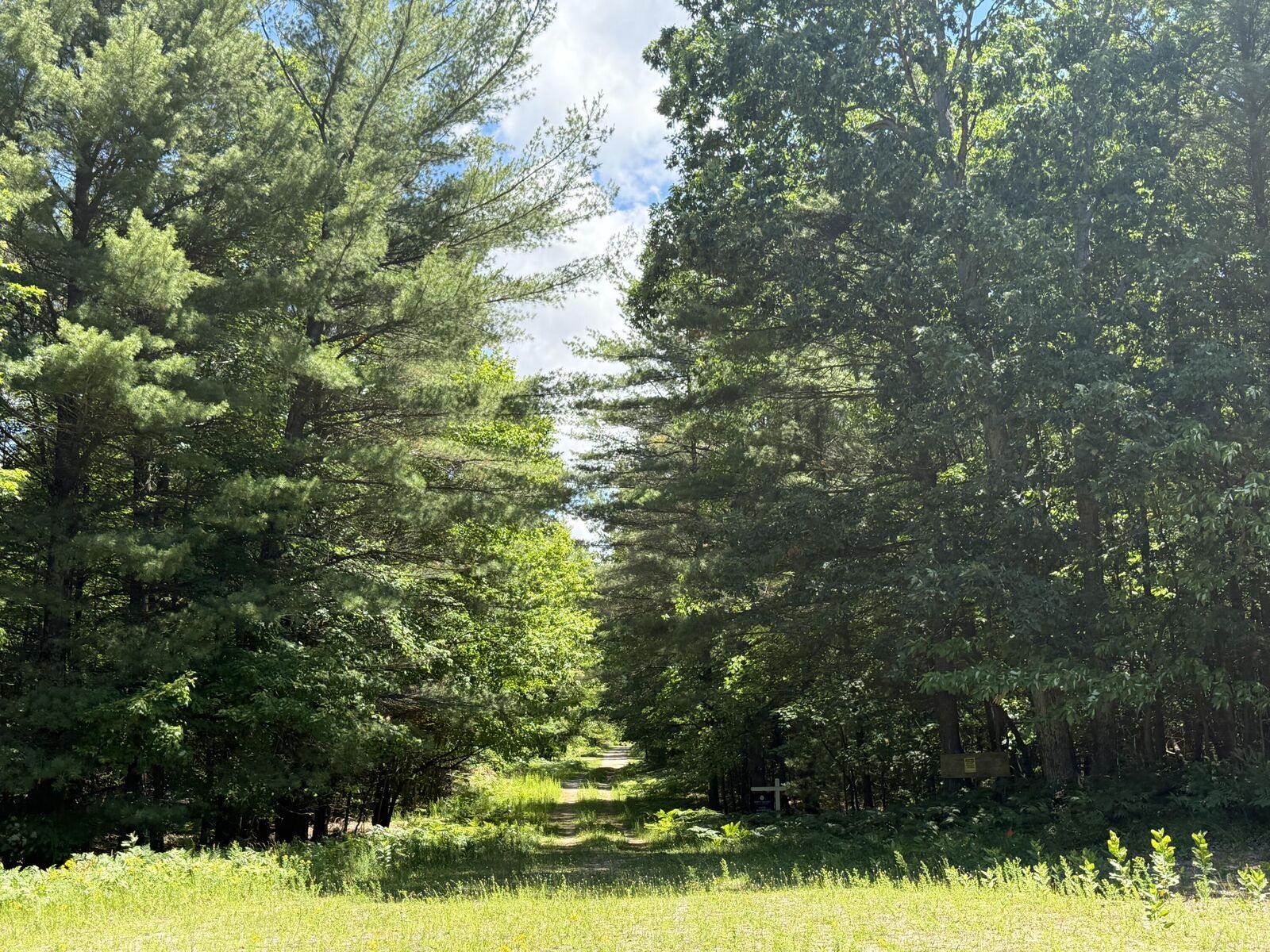 Property Photo:  3.75 Acres Wayne Road  MI 49449 