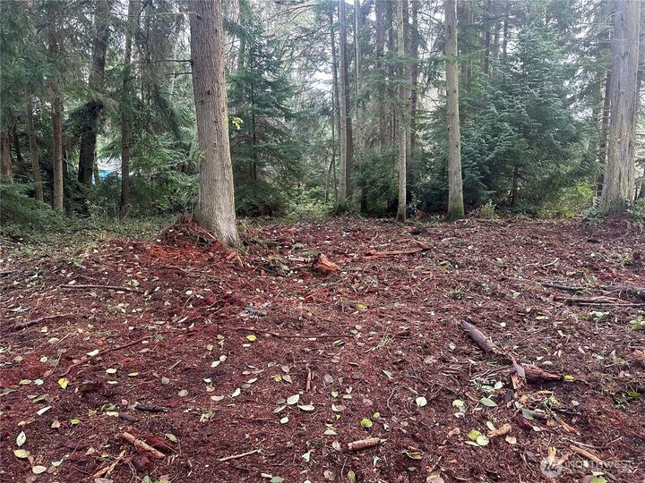 0 Xxx  Worthy Place  Greenbank WA 98253 photo