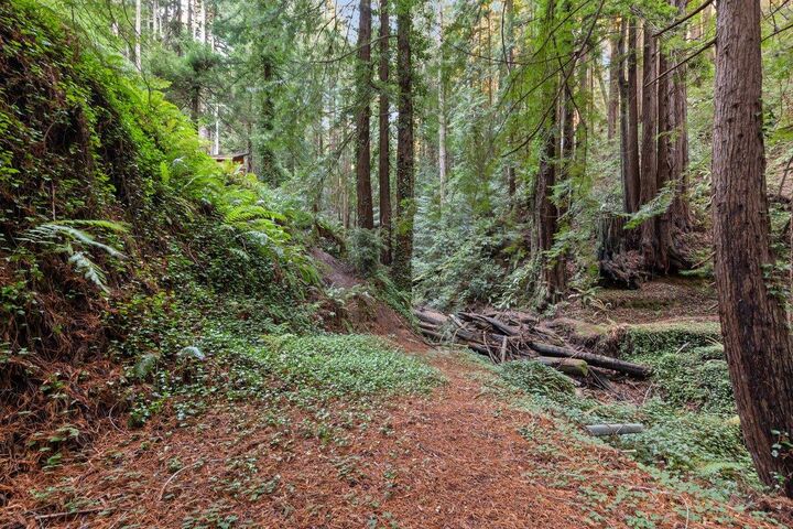 Property Photo:  3936 Tunitas Creek Road  CA 94019 