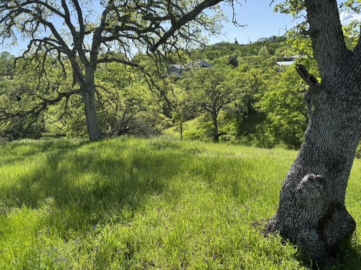 Property Photo: 22545 Rio Robles Drive CA 96080