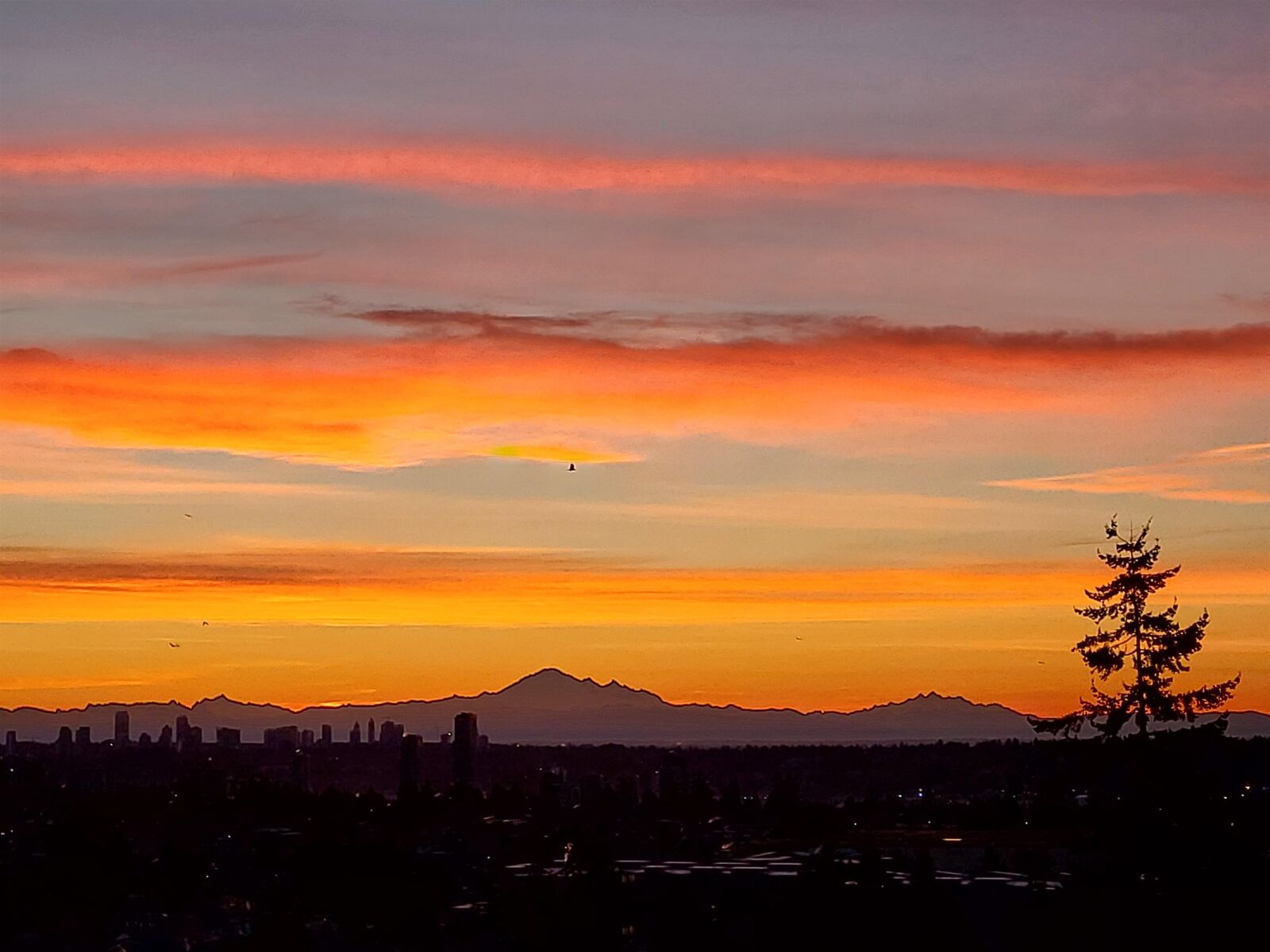 Property Photo:  7288 Acorn Avenue 1140  BC V5E 4H6 