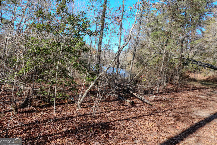 Property Photo: 0 Hamilton Road GA 30813