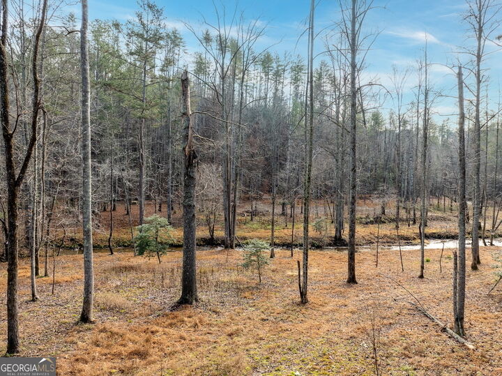 Property Photo: 780 Banks Road GA 30540