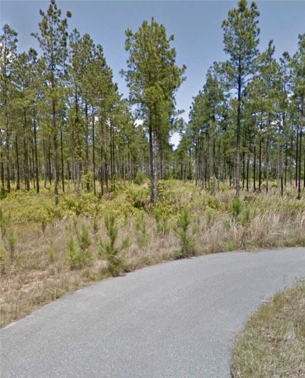 Property Photo:  112 Eagles Crest Drive  GA 31566 