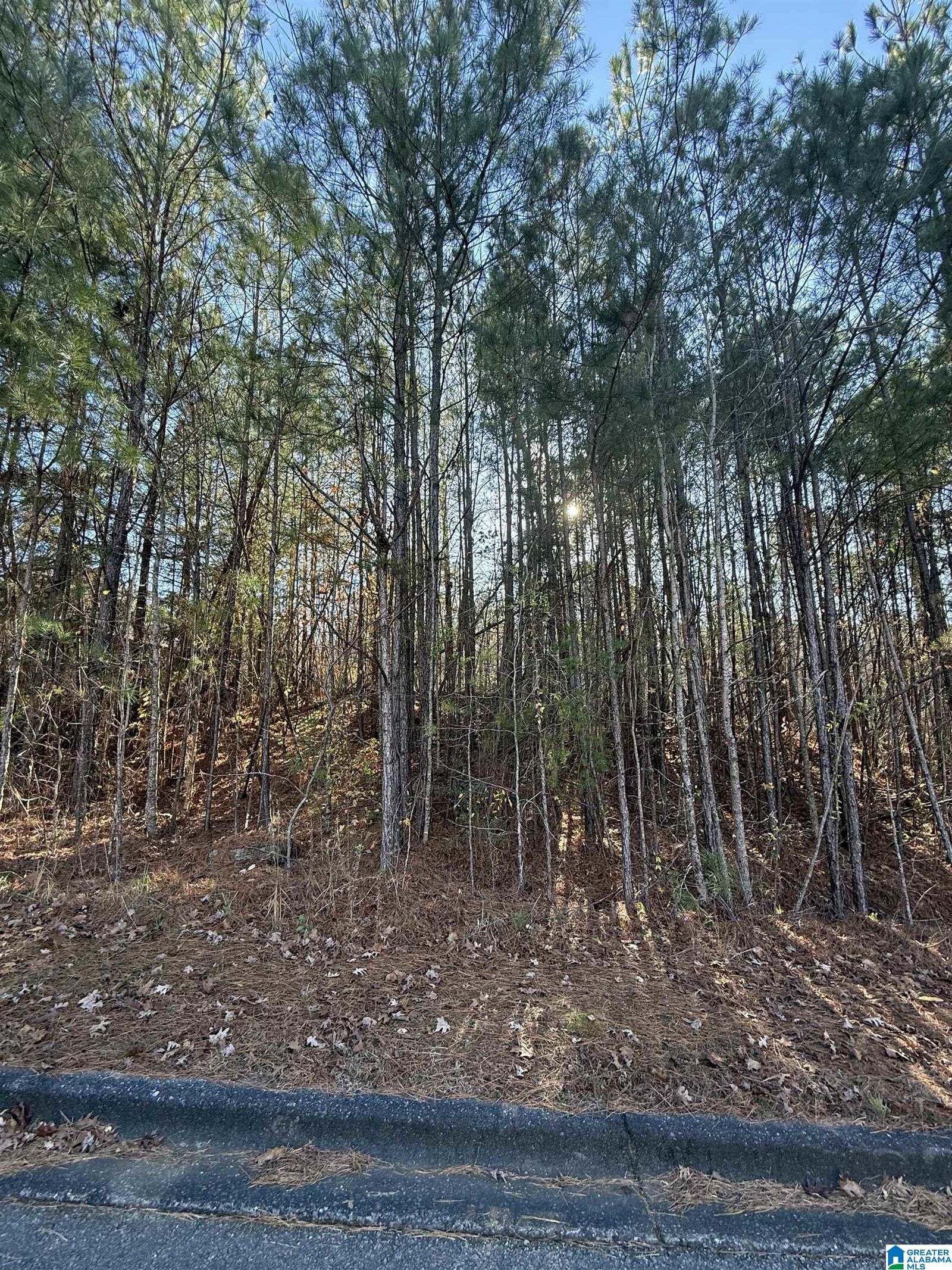 Property Photo: 1018 Long Branch Parkway 139 AL 35040