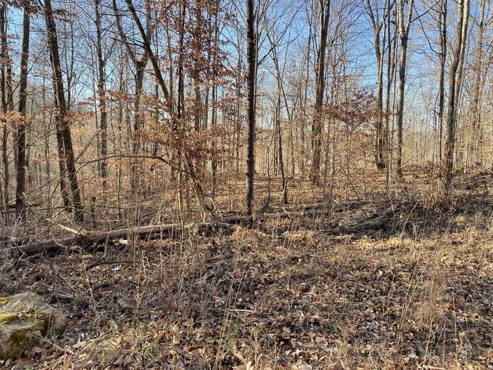 Property Photo:  1901 Dixie Bend Road  KY 42519 