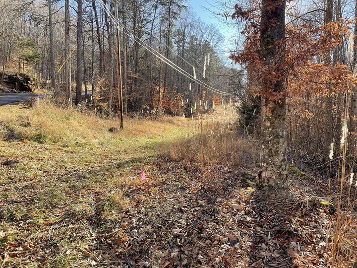 Property Photo:  1901 Dixie Bend Road  KY 42519 