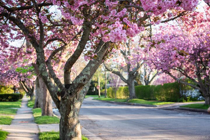 Property Photo: 550 Madison Avenue NY 11944