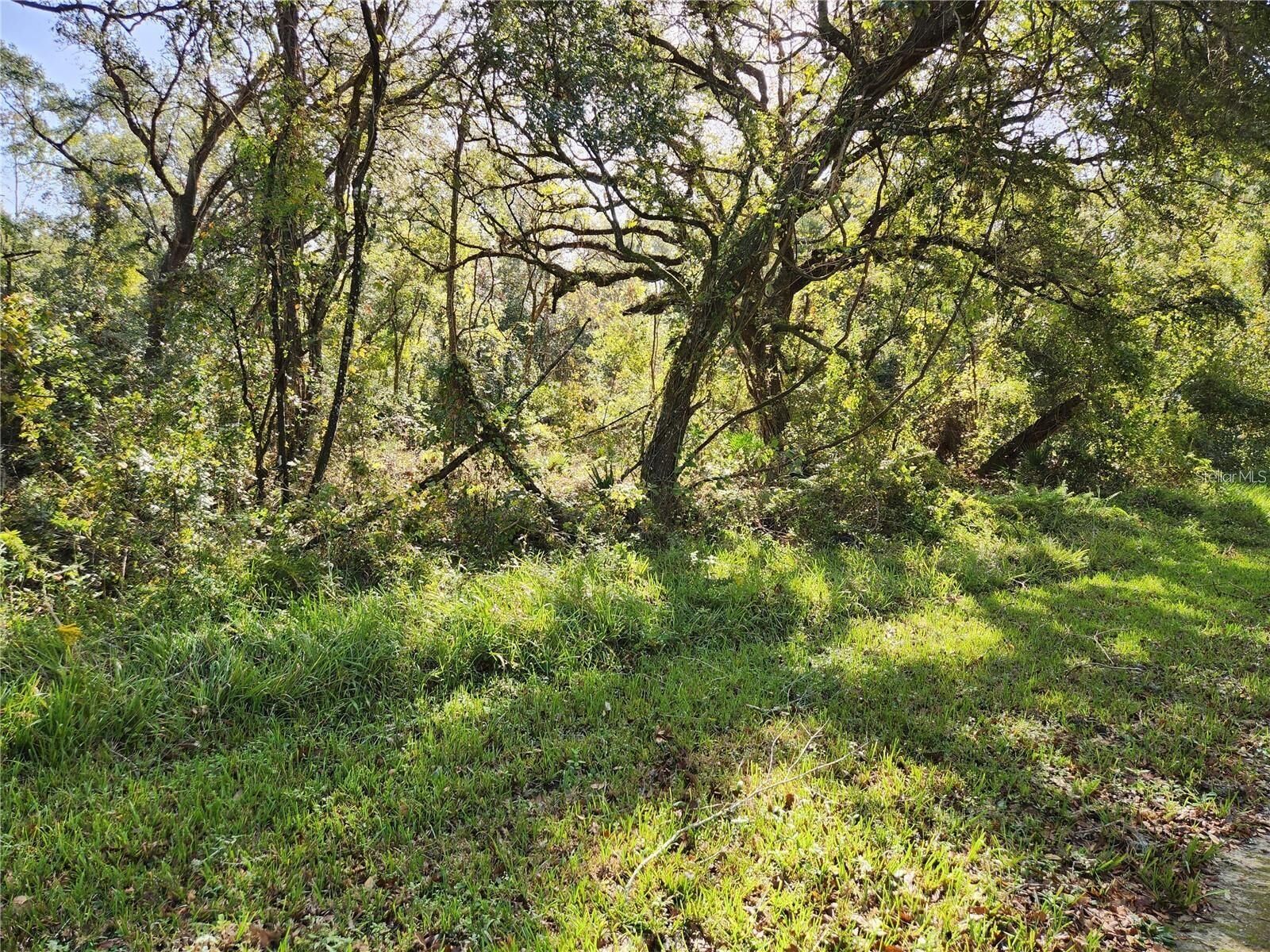 Property Photo: Tablerock Drive FL 33597