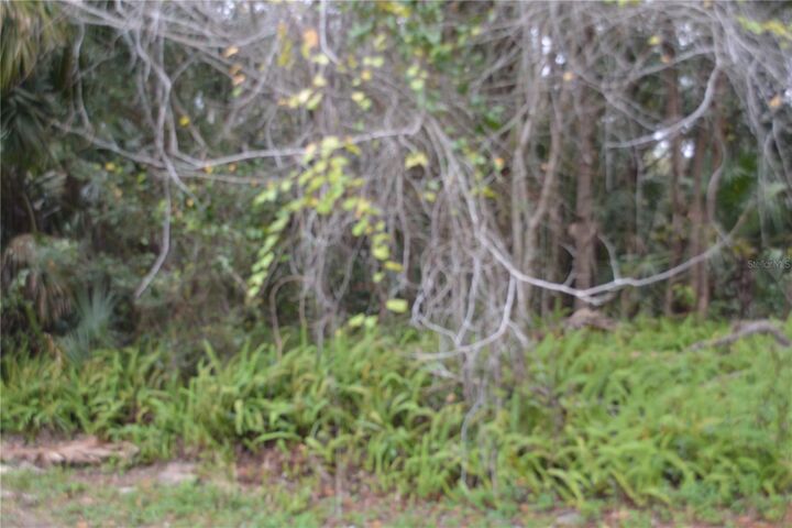 Property Photo: 0 Hester Avenue Avenue FL 32773