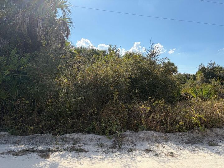 Property Photo:  1261 Dewey Drive  FL 33983 
