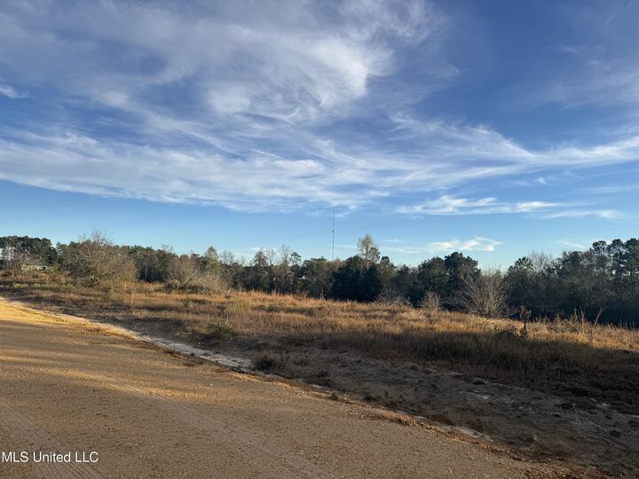 Property Photo:  7 Acres Parker Road  MS 39561 